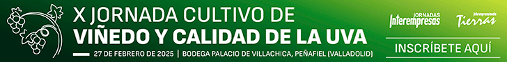 Viñedo 2025