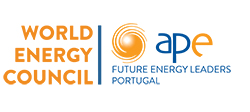 Future Energy Leaders Portugal (FELPT)