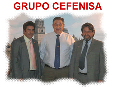 Grupo Cefenisa