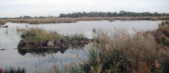 Industrias Fertilizantes Orgánicas, S.A. (Infertosa)