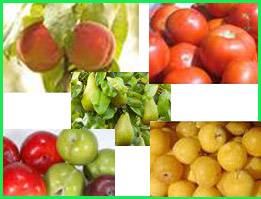 Alange Fruits, S.L. (ALANFRUITS)