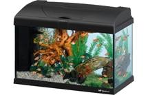 40 Litre glass aquariums Capri 50 - Pets - 40 Litre glass aquariums